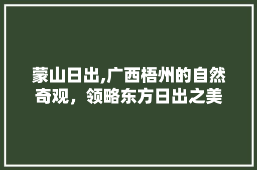 蒙山日出,广西梧州的自然奇观，领略东方日出之美