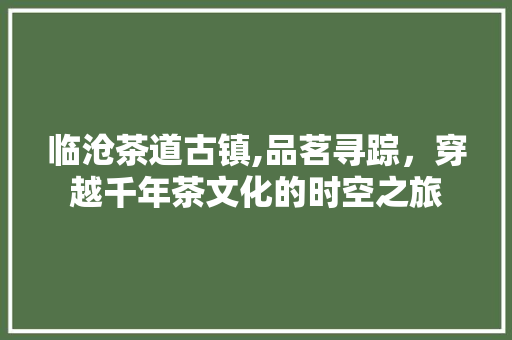 临沧茶道古镇,品茗寻踪，穿越千年茶文化的时空之旅