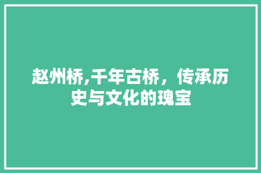 赵州桥,千年古桥，传承历史与文化的瑰宝