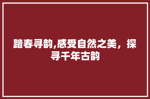 踏春寻韵,感受自然之美，探寻千年古韵