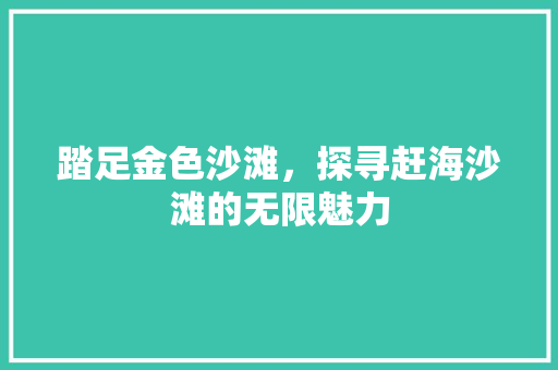 踏足金色沙滩，探寻赶海沙滩的无限魅力