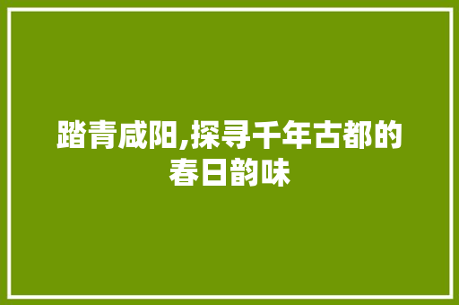 踏青咸阳,探寻千年古都的春日韵味