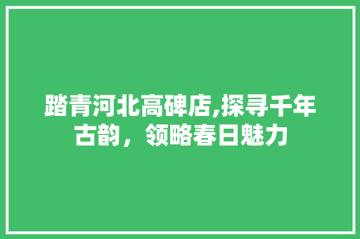 踏青河北高碑店,探寻千年古韵，领略春日魅力