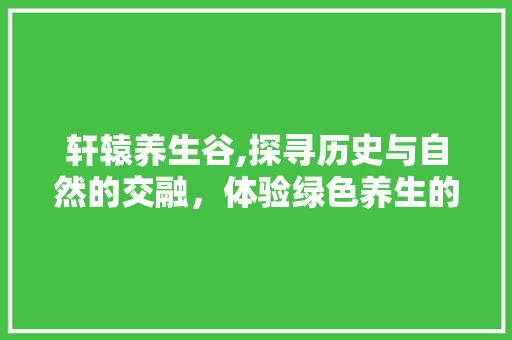 轩辕养生谷,探寻历史与自然的交融，体验绿色养生的魅力