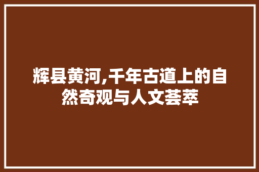 辉县黄河,千年古道上的自然奇观与人文荟萃