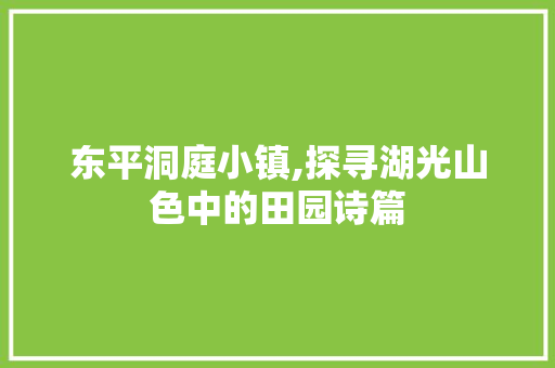 东平洞庭小镇,探寻湖光山色中的田园诗篇