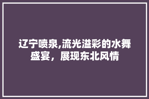 辽宁喷泉,流光溢彩的水舞盛宴，展现东北风情