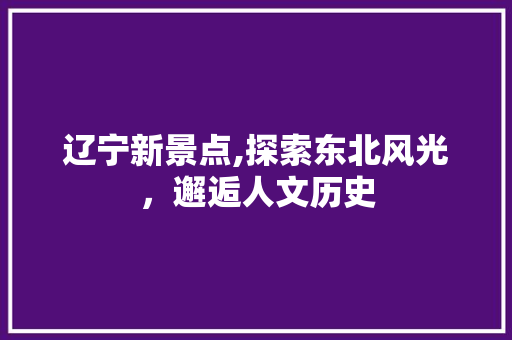 辽宁新景点,探索东北风光，邂逅人文历史