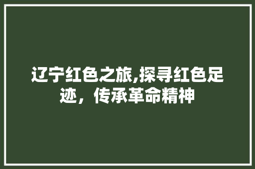 辽宁红色之旅,探寻红色足迹，传承革命精神