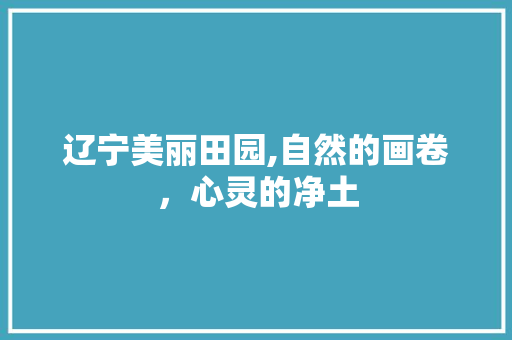 辽宁美丽田园,自然的画卷，心灵的净土