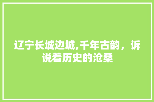 辽宁长城边城,千年古韵，诉说着历史的沧桑