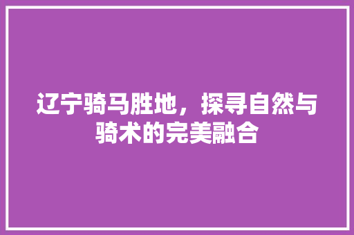 辽宁骑马胜地，探寻自然与骑术的完美融合