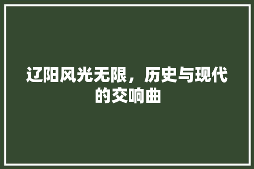 辽阳风光无限，历史与现代的交响曲