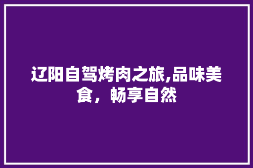 辽阳自驾烤肉之旅,品味美食，畅享自然