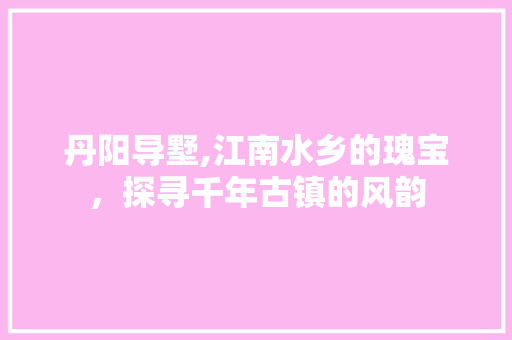 丹阳导墅,江南水乡的瑰宝，探寻千年古镇的风韵  第1张