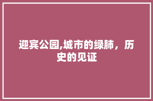 迎宾公园,城市的绿肺，历史的见证