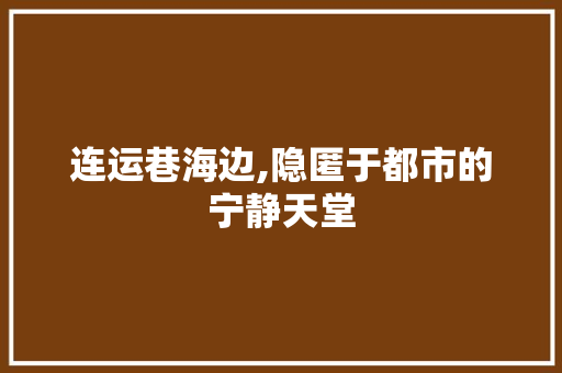 连运巷海边,隐匿于都市的宁静天堂