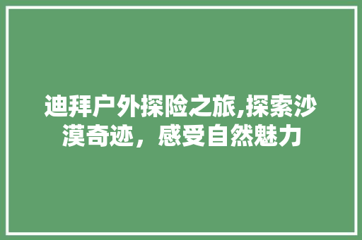 迪拜户外探险之旅,探索沙漠奇迹，感受自然魅力