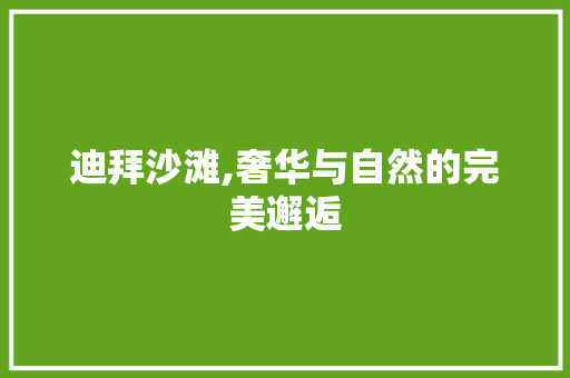 迪拜沙滩,奢华与自然的完美邂逅