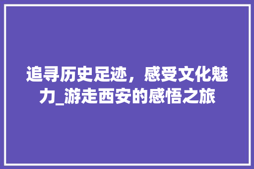 追寻历史足迹，感受文化魅力_游走西安的感悟之旅