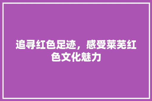 追寻红色足迹，感受莱芜红色文化魅力