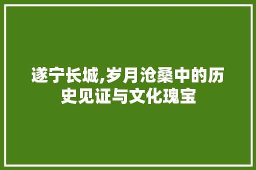 遂宁长城,岁月沧桑中的历史见证与文化瑰宝