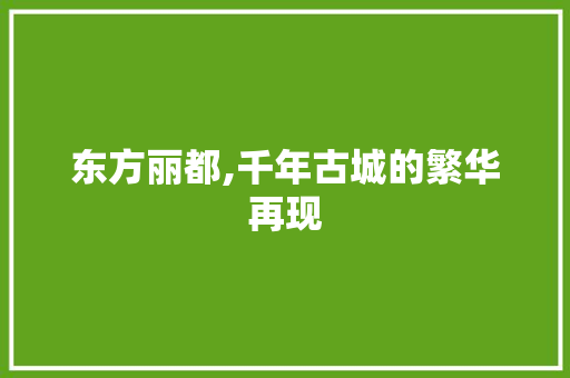 东方丽都,千年古城的繁华再现