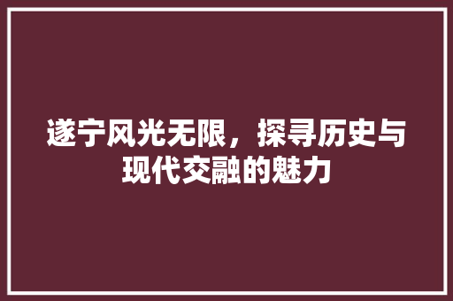 遂宁风光无限，探寻历史与现代交融的魅力