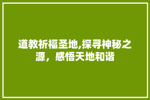 道教祈福圣地,探寻神秘之源，感悟天地和谐