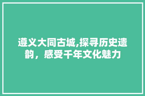 遵义大同古城,探寻历史遗韵，感受千年文化魅力