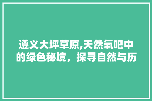 遵义大坪草原,天然氧吧中的绿色秘境，探寻自然与历史的交融