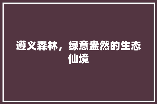 遵义森林，绿意盎然的生态仙境