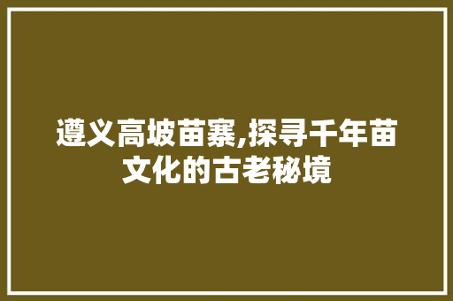 遵义高坡苗寨,探寻千年苗文化的古老秘境