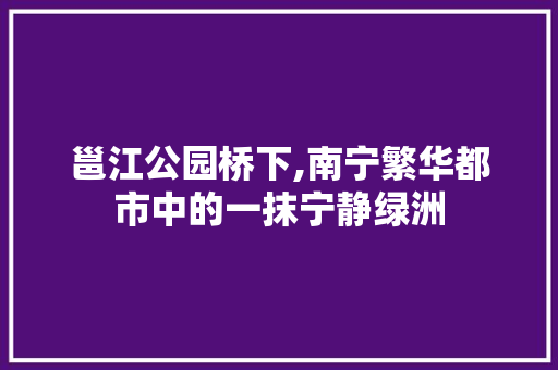 邕江公园桥下,南宁繁华都市中的一抹宁静绿洲