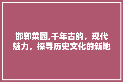 邯郸菜园,千年古韵，现代魅力，探寻历史文化的新地标