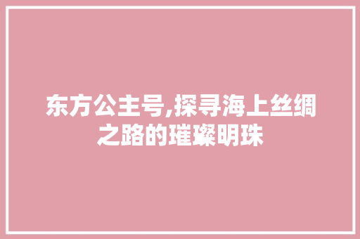 东方公主号,探寻海上丝绸之路的璀璨明珠