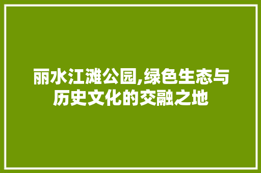 丽水江滩公园,绿色生态与历史文化的交融之地