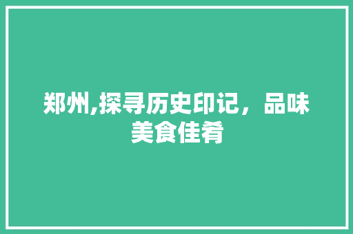 郑州,探寻历史印记，品味美食佳肴