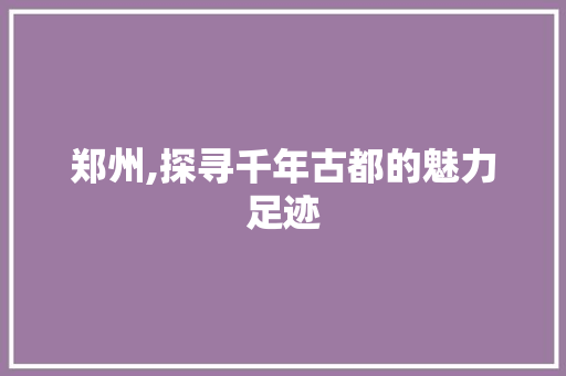 郑州,探寻千年古都的魅力足迹