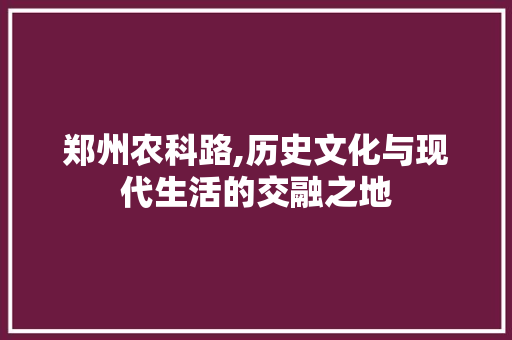 郑州农科路,历史文化与现代生活的交融之地