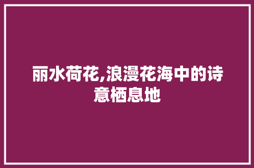 丽水荷花,浪漫花海中的诗意栖息地