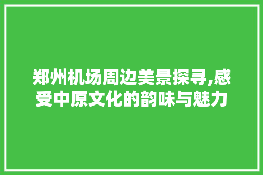 郑州机场周边美景探寻,感受中原文化的韵味与魅力