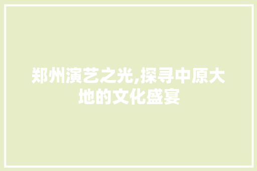 郑州演艺之光,探寻中原大地的文化盛宴