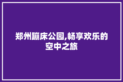 郑州蹦床公园,畅享欢乐的空中之旅