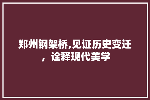 郑州钢架桥,见证历史变迁，诠释现代美学