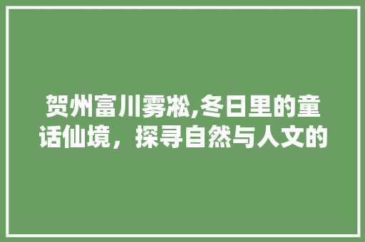 贺州富川雾凇,冬日里的童话仙境，探寻自然与人文的完美融合