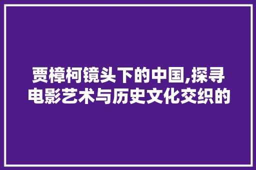 贾樟柯镜头下的中国,探寻电影艺术与历史文化交织的足迹