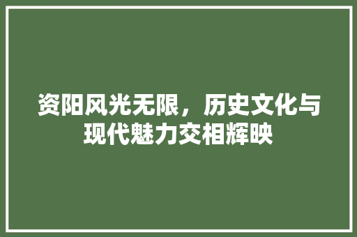 资阳风光无限，历史文化与现代魅力交相辉映