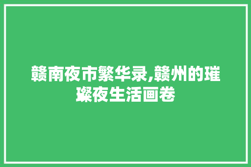 赣南夜市繁华录,赣州的璀璨夜生活画卷