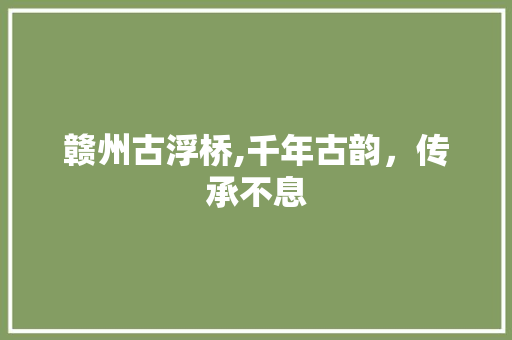 赣州古浮桥,千年古韵，传承不息